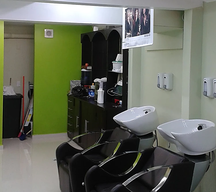 Interior del salón: dos lavabos blancos con sillones negros frente al muro verde limón