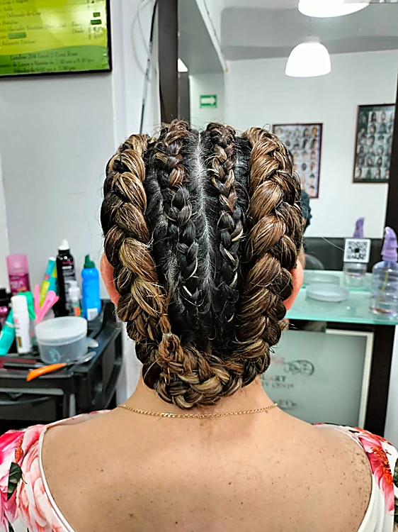 Dos trenzas gruesas pegadas que terminan en un recogido bajo, vistas de espaldas